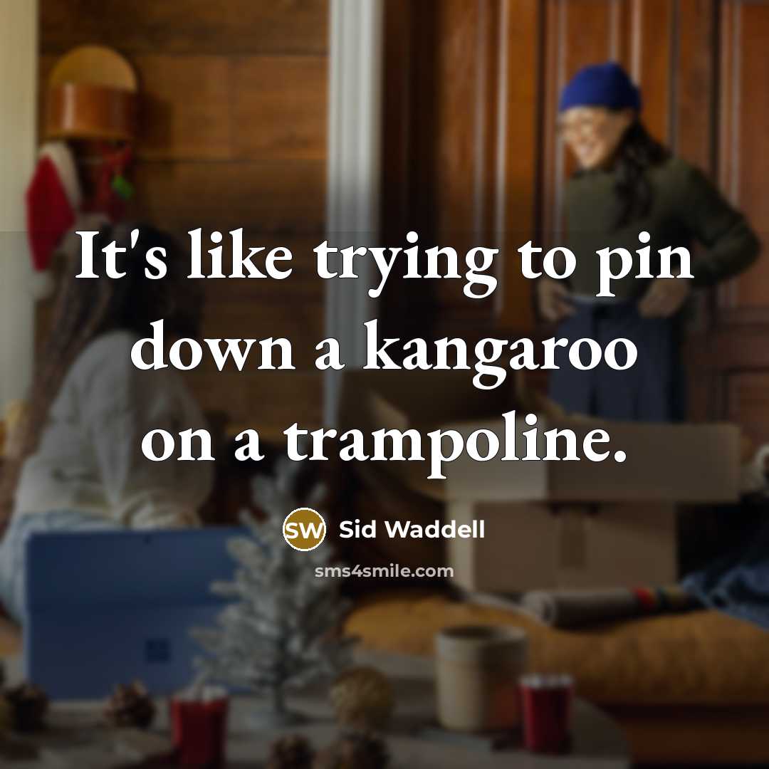 “It's like trying to pin down a kangaroo on a trampoline.” quote by Sid Waddell