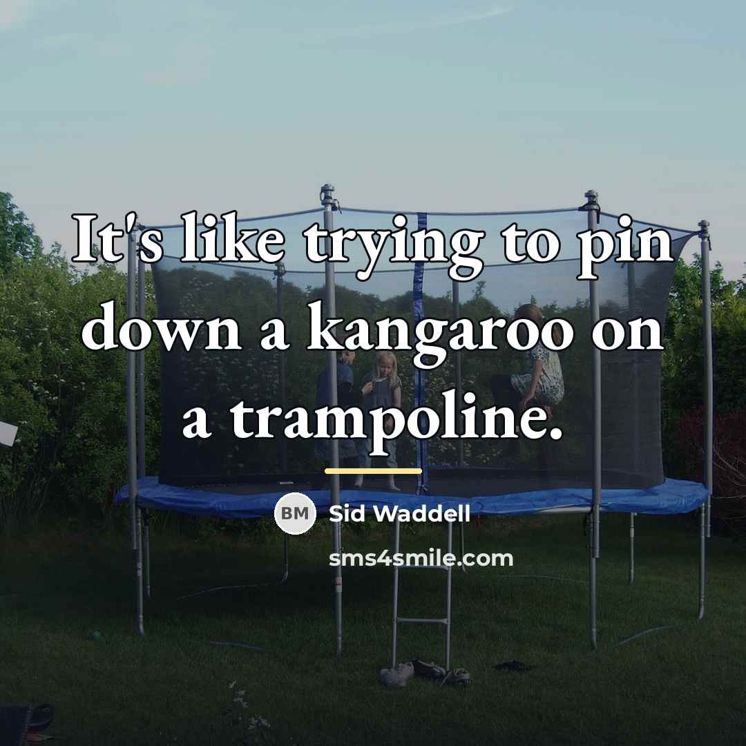 “It's like trying to pin down a kangaroo on a…” quote by Sid Waddell