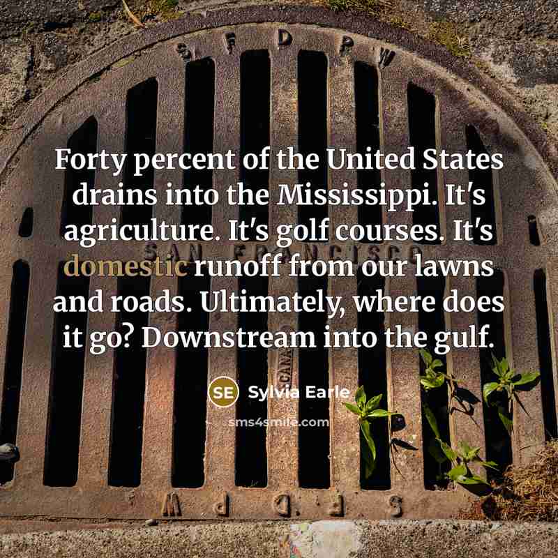 “Forty percent of the United States drains into the Mississippi.…” quote by Sylvia Earle