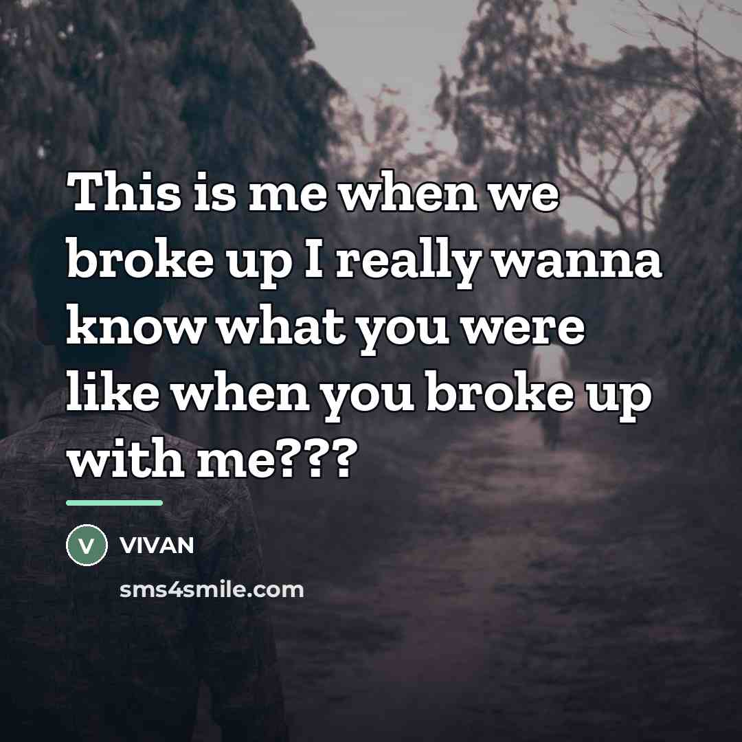 “This is me when we broke up I really wanna…” quote by VIVAN