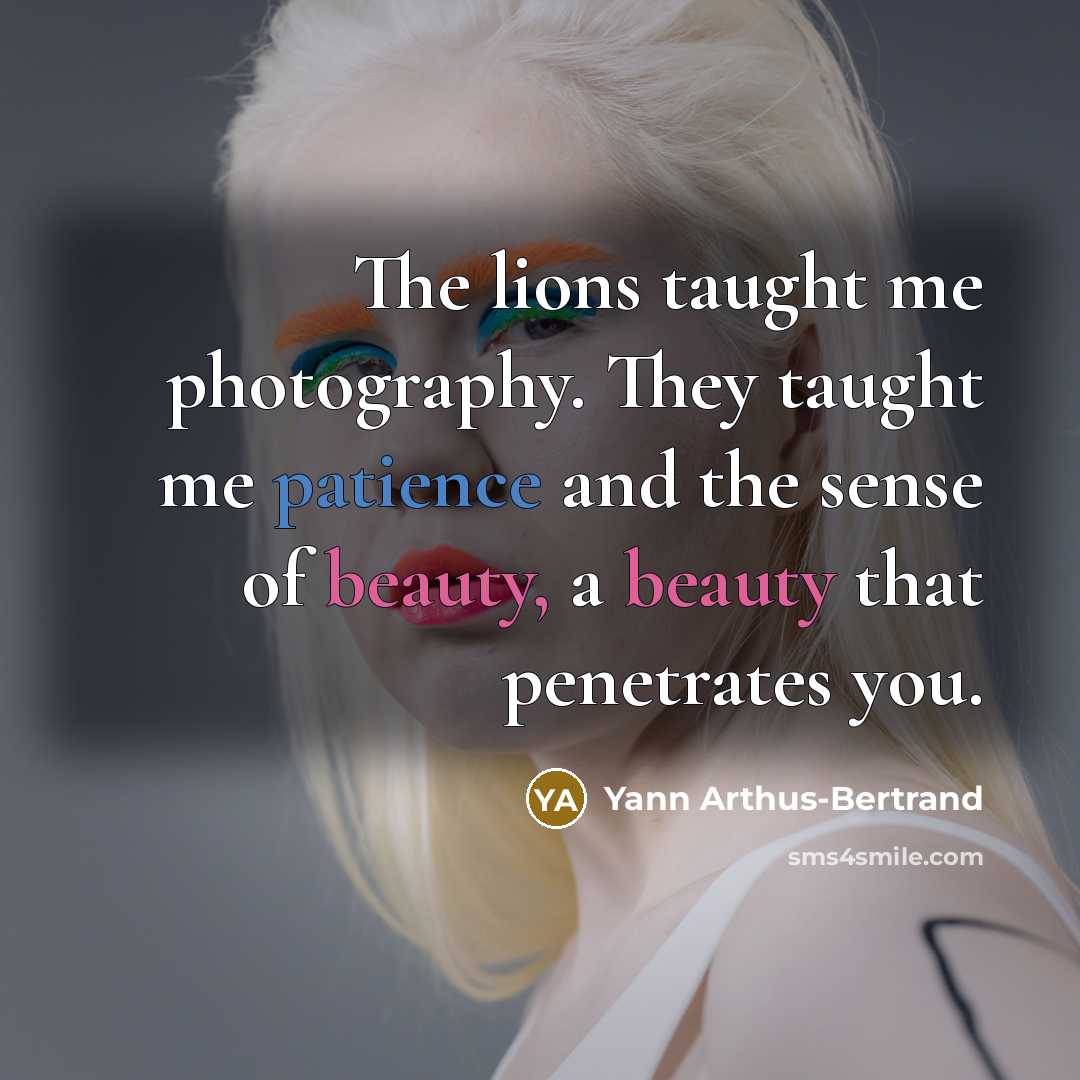 “The lions taught me photography. They taught me patience and…” quote by Yann Arthus-Bertrand