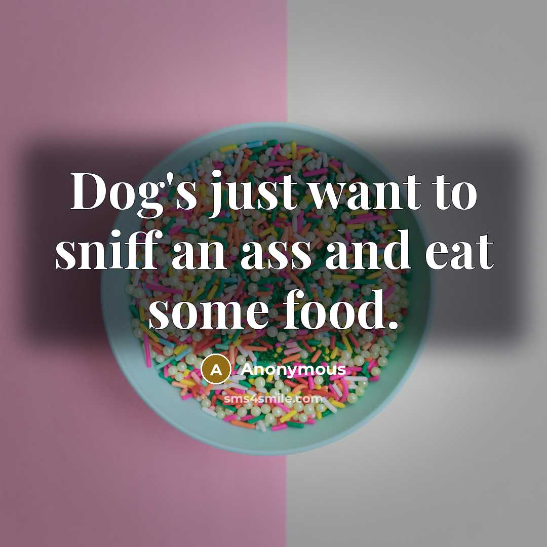 “Dog's just want to sniff an ass and eat some…” quote by Anonymous