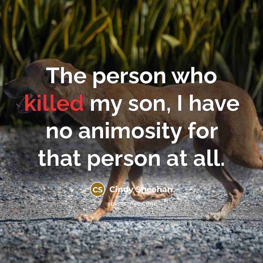 “The person who killed my son, I have no animosity…” quote by Cindy Sheehan