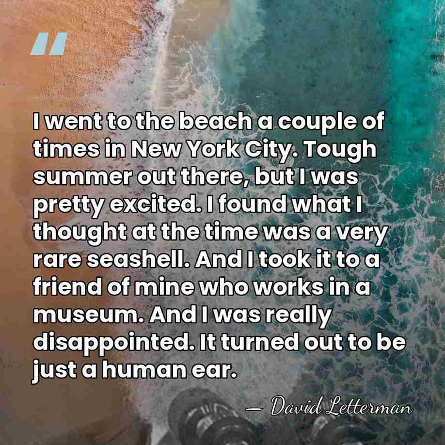 I went to the beach a couple of times in New York&hellip; - David Letterman
