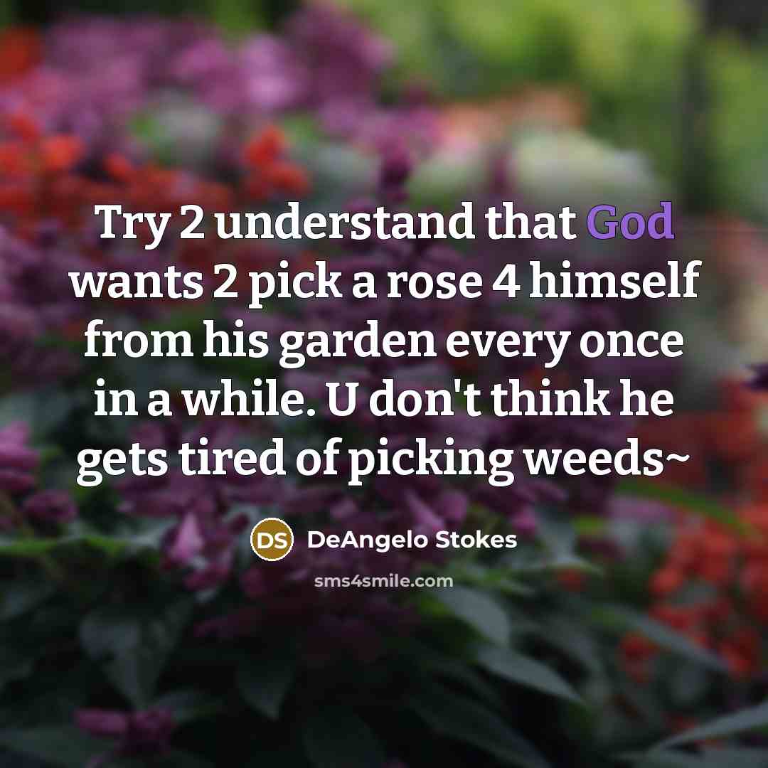“Try 2 understand that God wants 2 pick a rose…” quote by DeAngelo Stokes