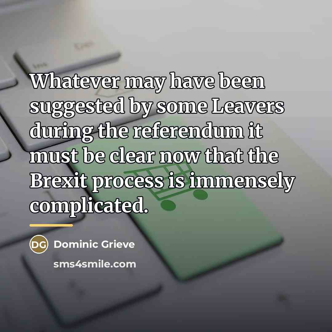 “Whatever may have been suggested by some Leavers during the…” quote by Dominic Grieve