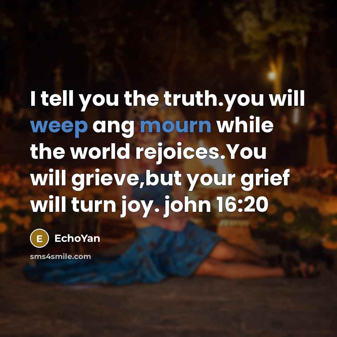 “I tell you the truth.you will weep ang mourn while…” quote by EchoYan