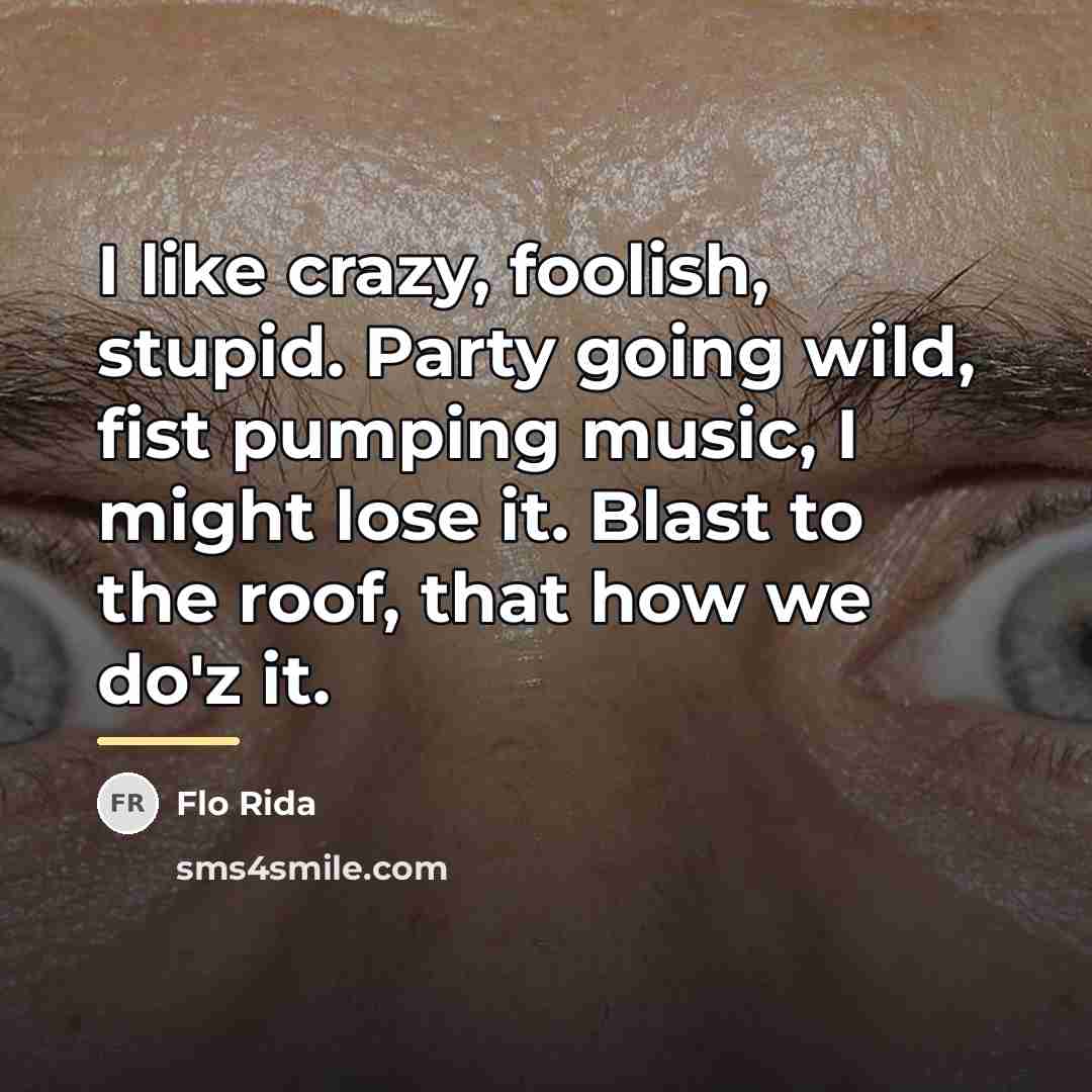 “I like crazy, foolish, stupid. Party going wild, fist pumping…” quote by Flo Rida