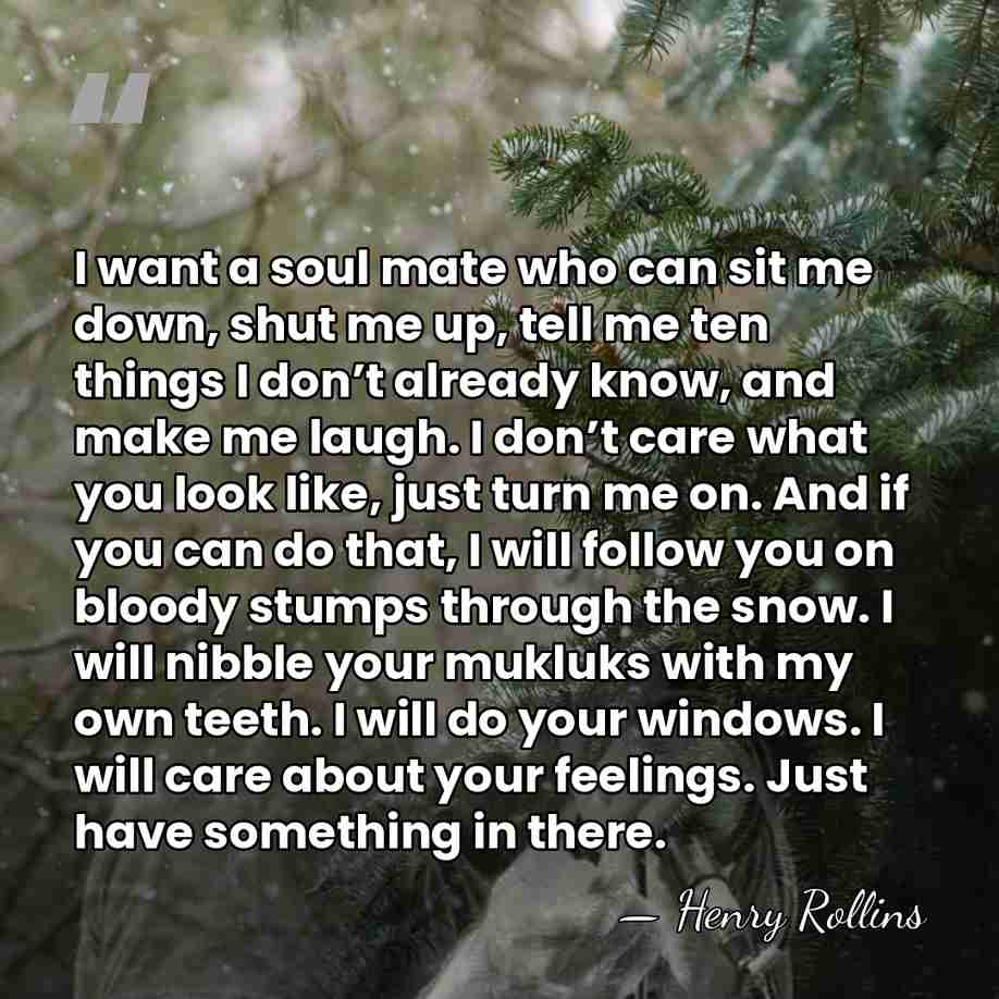 I want a soul mate who can sit me down, shut me&hellip; - Henry Rollins