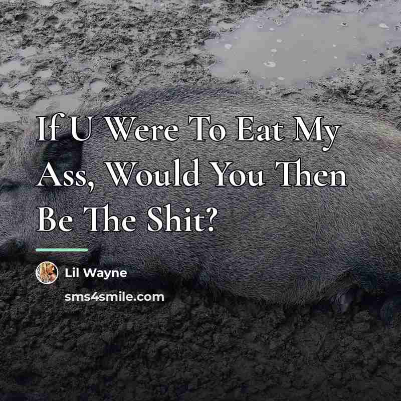 “If U Were To Eat My Ass, Would You Then…” quote by Lil Wayne