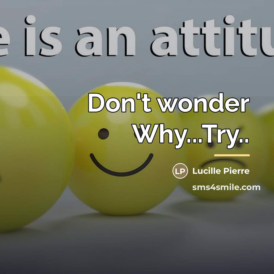 “Don't wonder Why...Try..…” quote by Lucille Pierre