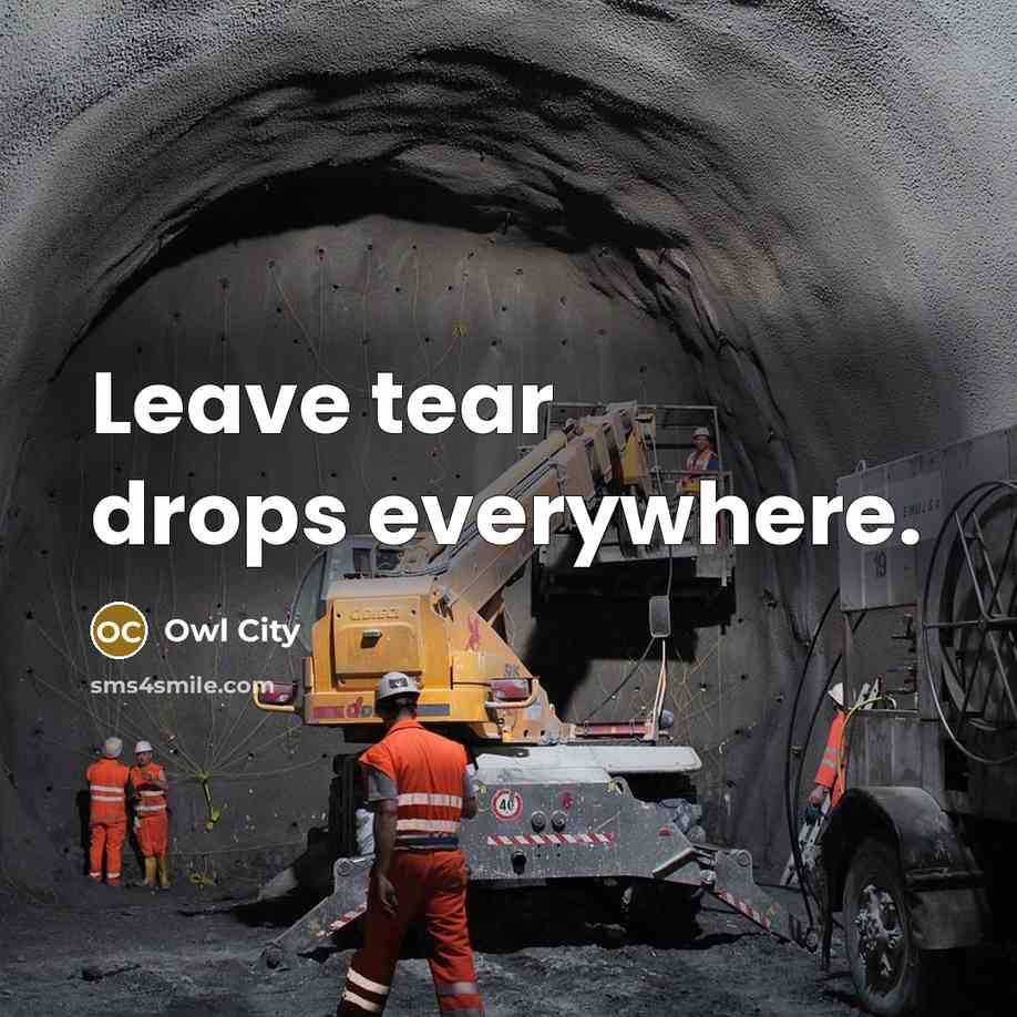 “Leave tear drops everywhere.…” quote by Owl City