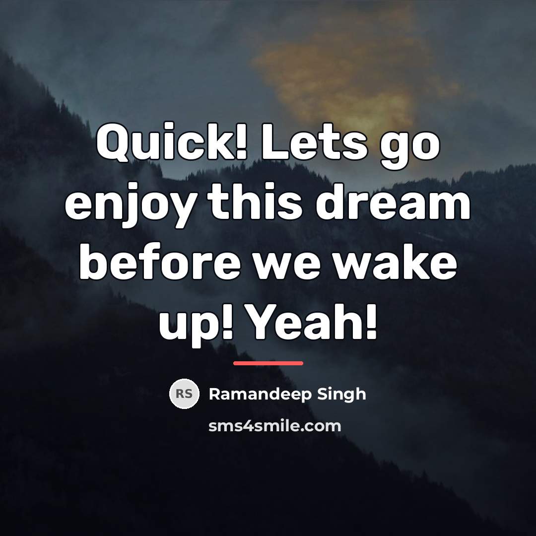“Quick! Lets go enjoy this dream before we wake up!…” quote by Ramandeep Singh