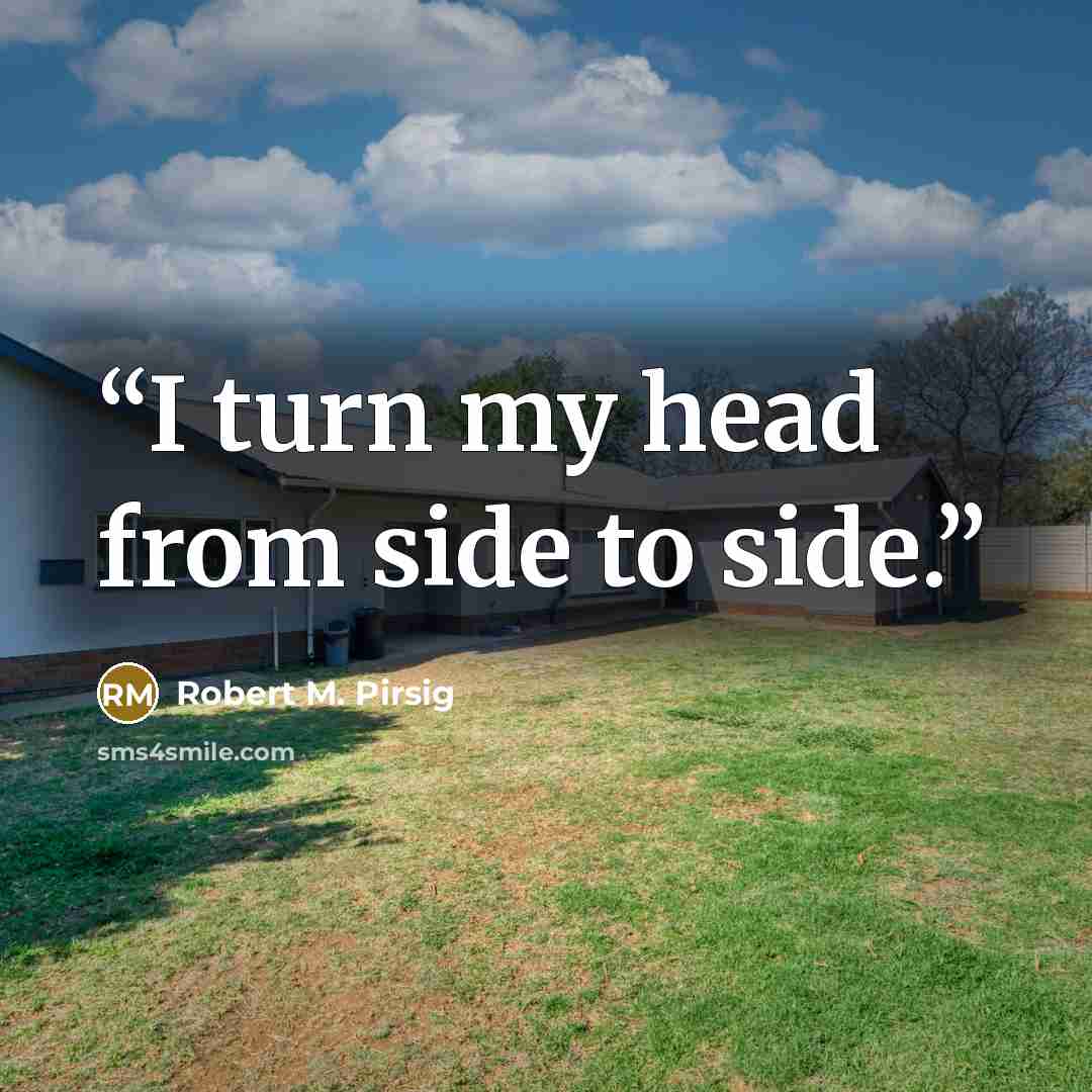 “I turn my head from side to side.” quote by Robert M. Pirsig
