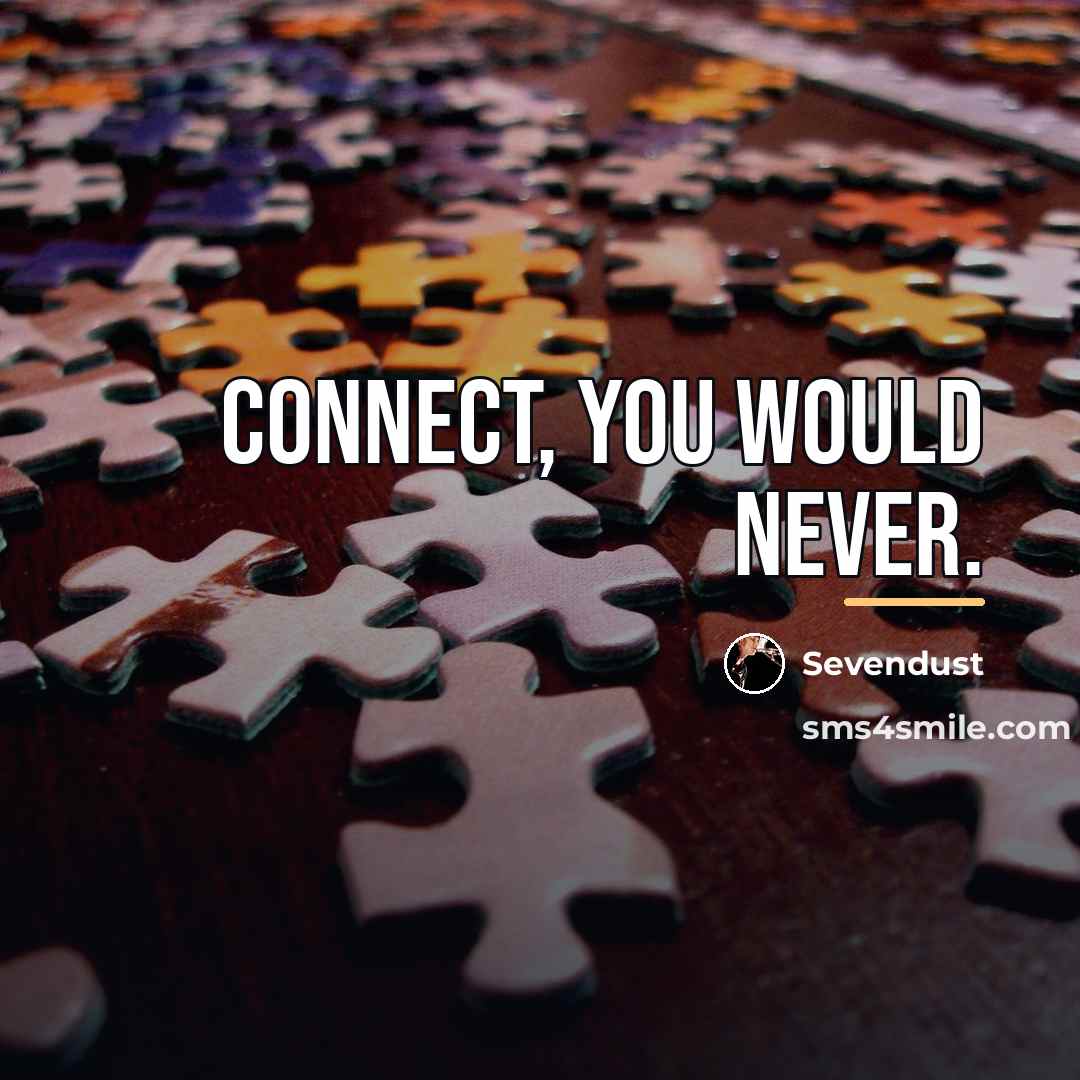 “Connect, you would never.…” quote by Sevendust