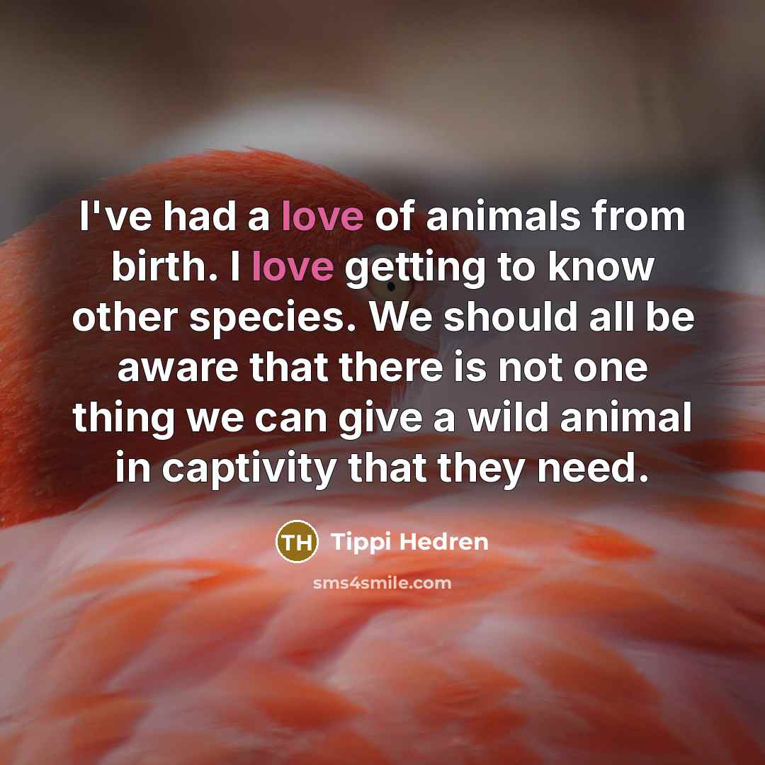 “I've had a love of animals from birth. I love…” quote by Tippi Hedren