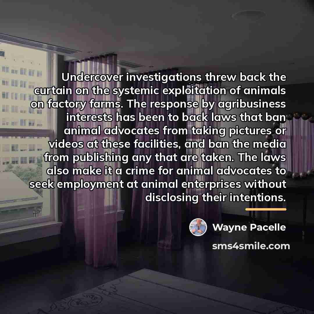 “Undercover investigations threw back the curtain on the systemic exploitation…” quote by Wayne Pacelle