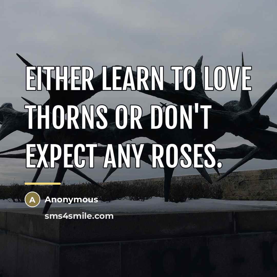 “Either learn to love thorns or don't expect any roses.…” quote by Anonymous