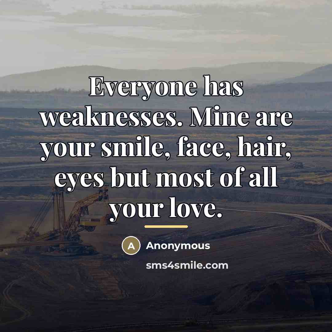 “Everyone has weaknesses. Mine are your smile, face, hair, eyes…” quote by Anonymous