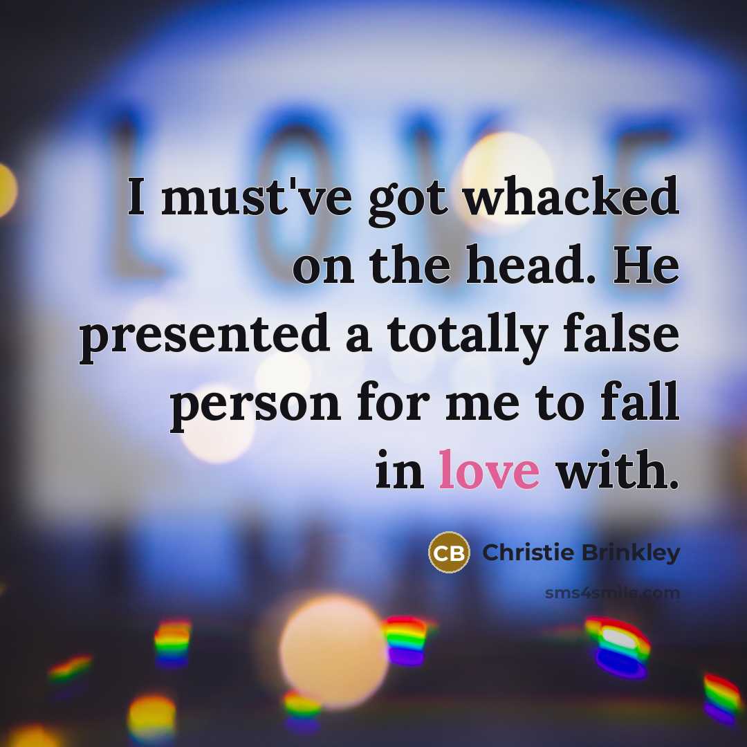 “I must've got whacked on the head. He presented a…” quote by Christie Brinkley