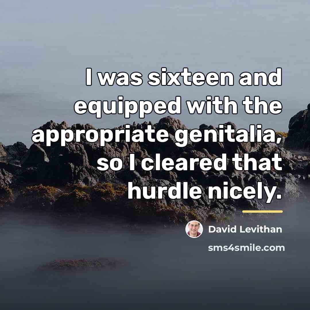 “I was sixteen and equipped with the appropriate genitalia, so…” quote by David Levithan