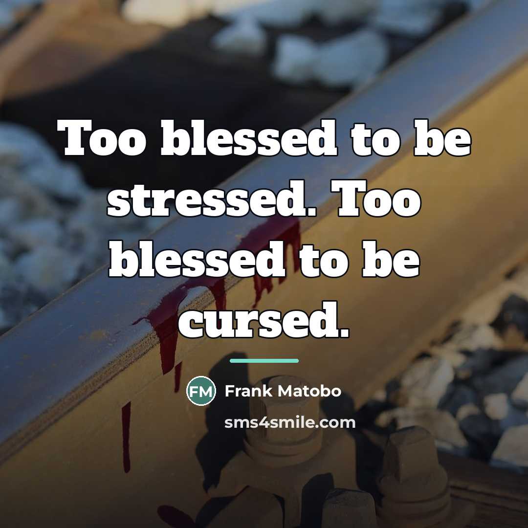 “Too blessed to be stressed. Too blessed to be cursed.…” quote by Frank Matobo