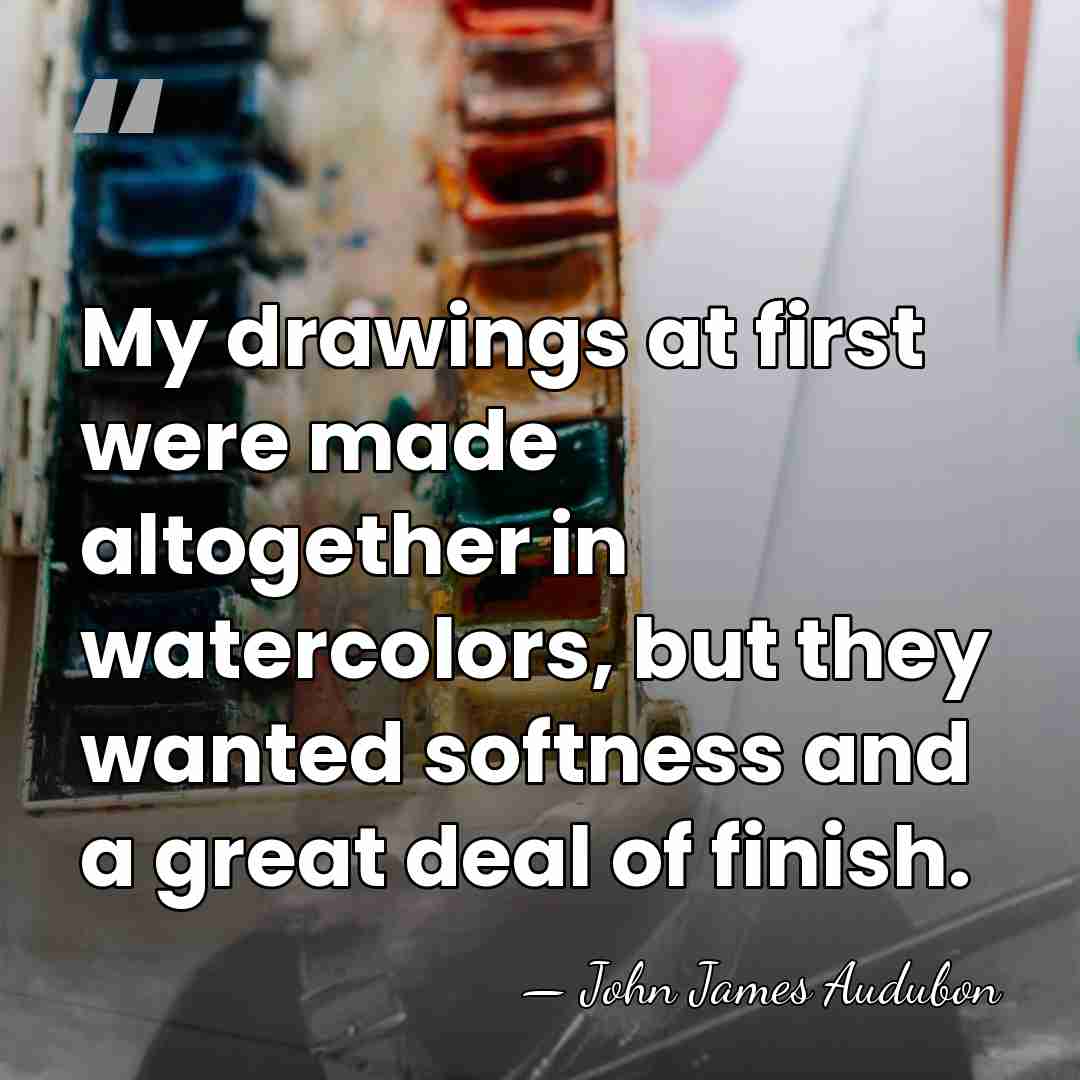 My drawings at first were made altogether in watercolors, but they wanted&hellip; - John James Audubon