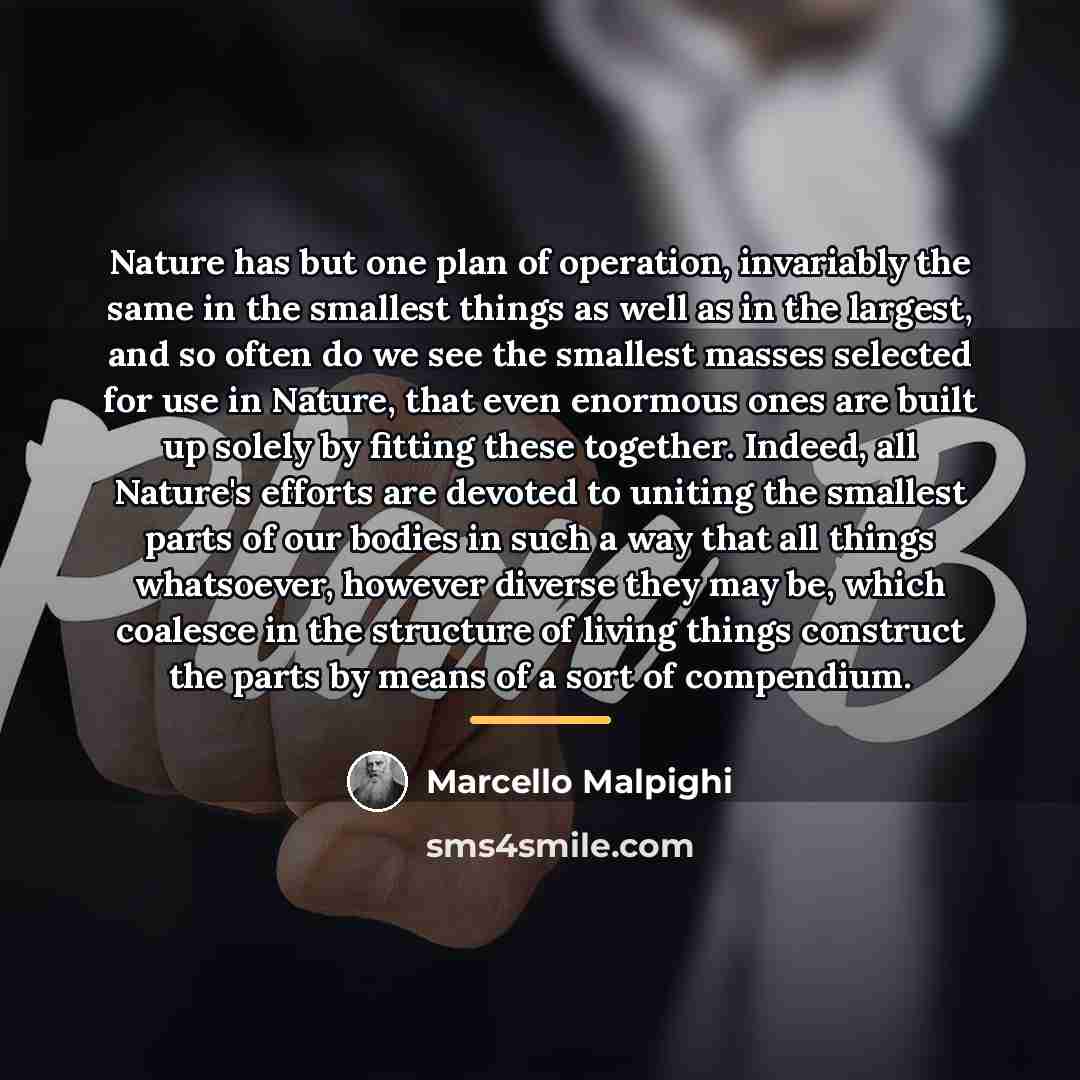 “Nature has but one plan of operation, invariably the same…” quote by Marcello Malpighi