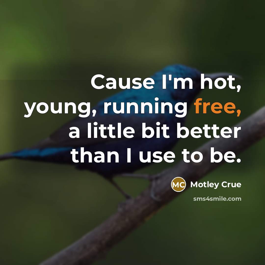 “Cause I'm hot, young, running free, a little bit better…” quote by Motley Crue