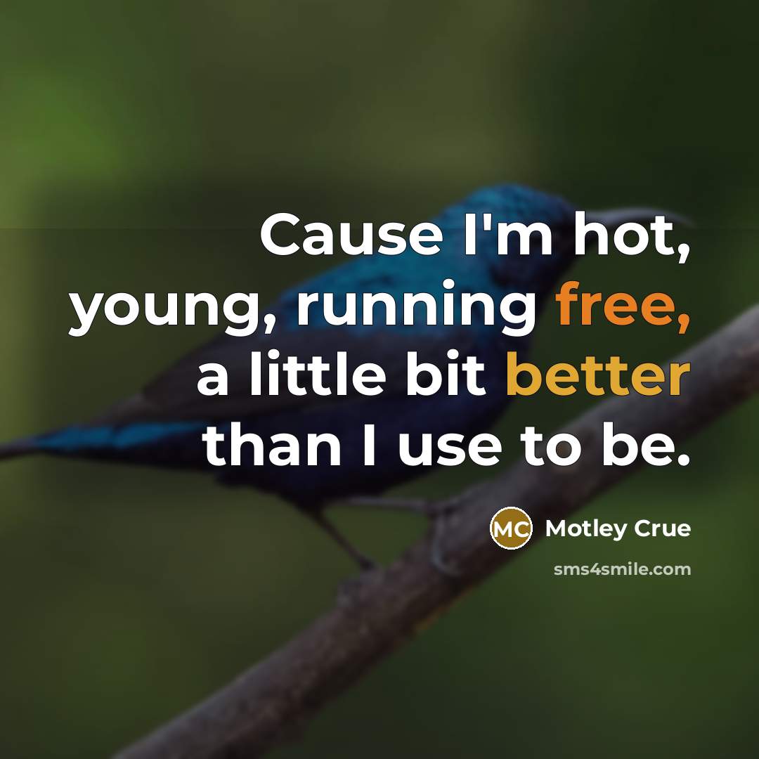 “Cause I'm hot, young, running free, a little bit better than I use to be.” quote by Motley Crue