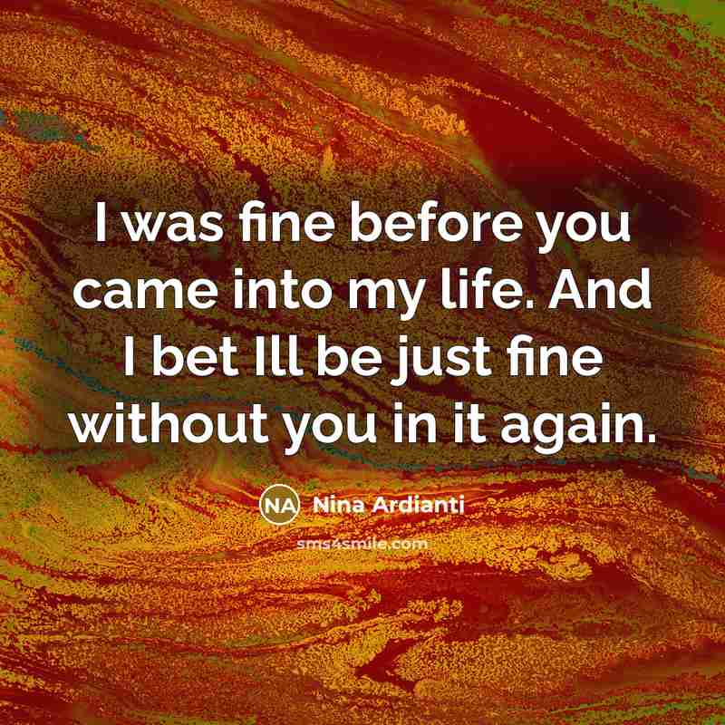 “I was fine before you came into my life. And…” quote by Nina Ardianti