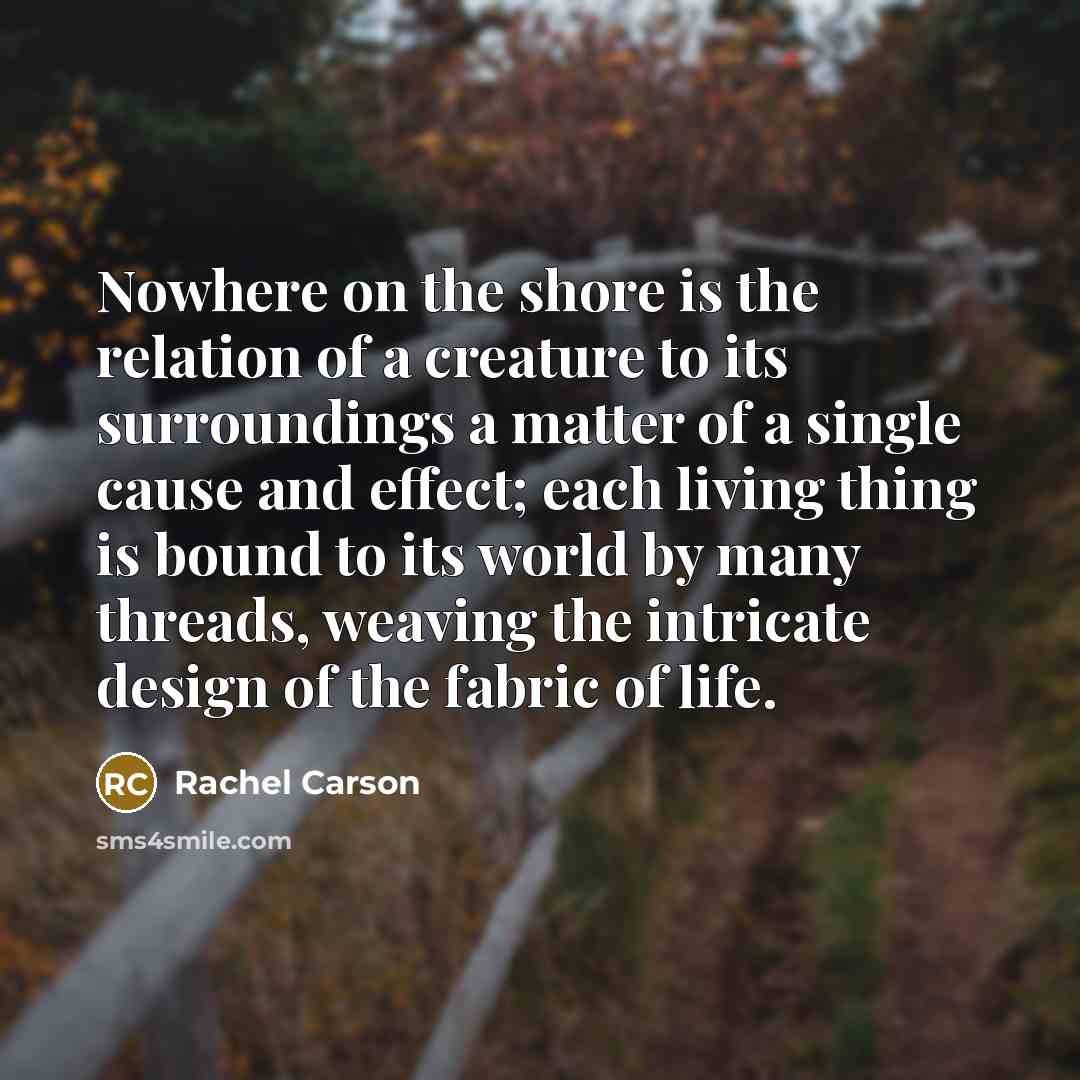“Nowhere on the shore is the relation of a creature…” quote by Rachel Carson