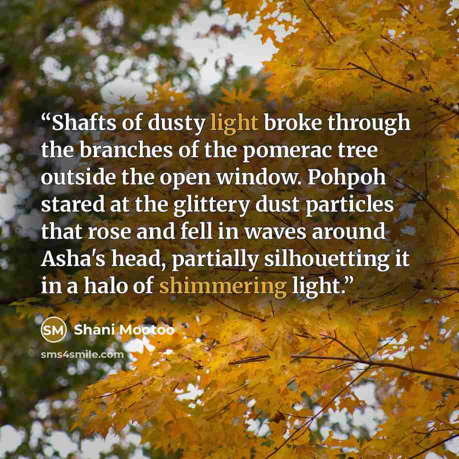 “Shafts of dusty light broke through the branches of the pomerac tree outside the open window. Pohpoh stared at the glittery dust particles that rose and fell in waves around Asha's head, partially silhouetting it in a halo of shimmering light.” quote by Shani Mootoo