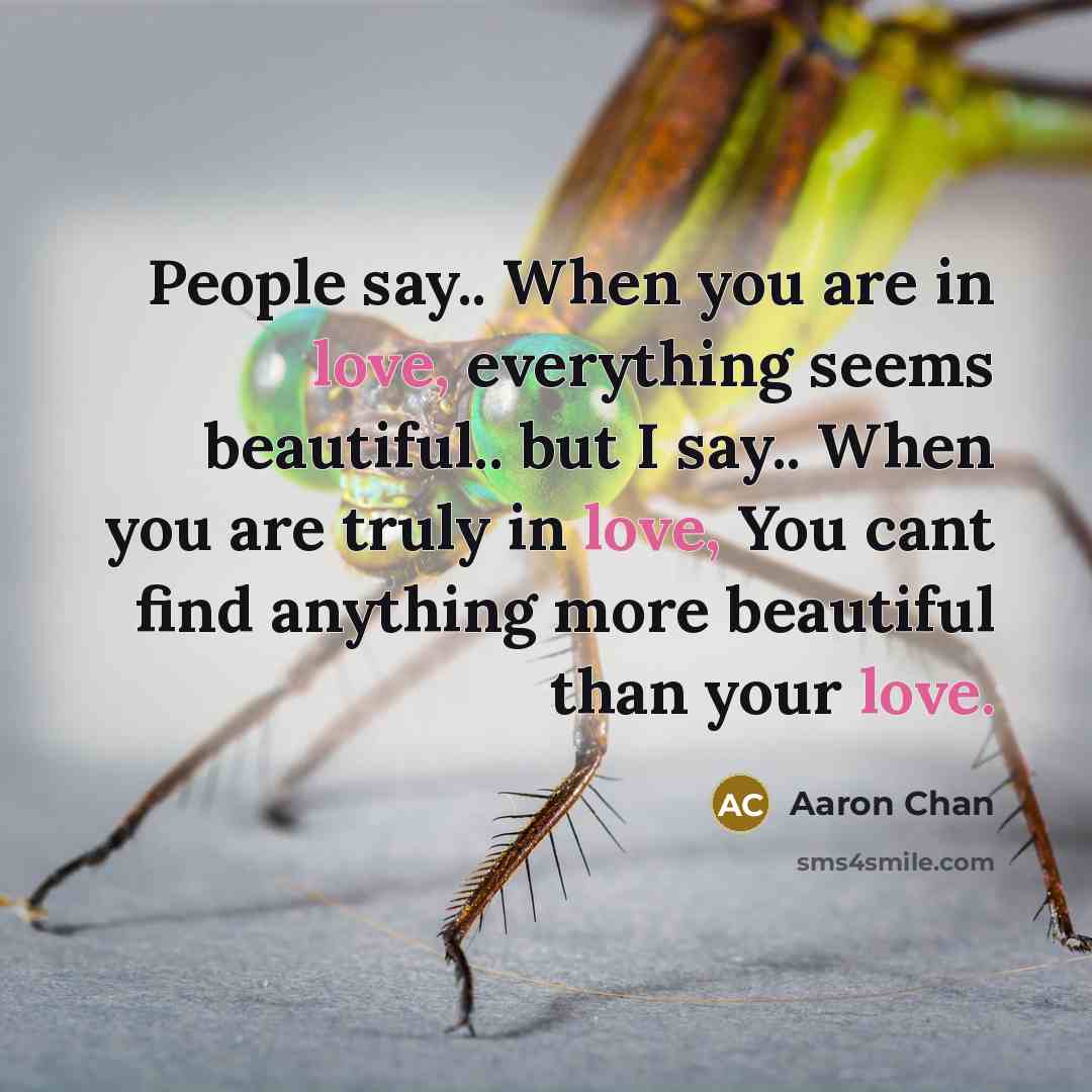 “People say.. When you are in love, everything seems beautiful..…” quote by Aaron Chan
