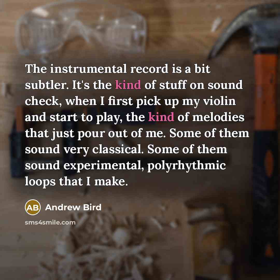“The instrumental record is a bit subtler. It's the kind…” quote by Andrew Bird
