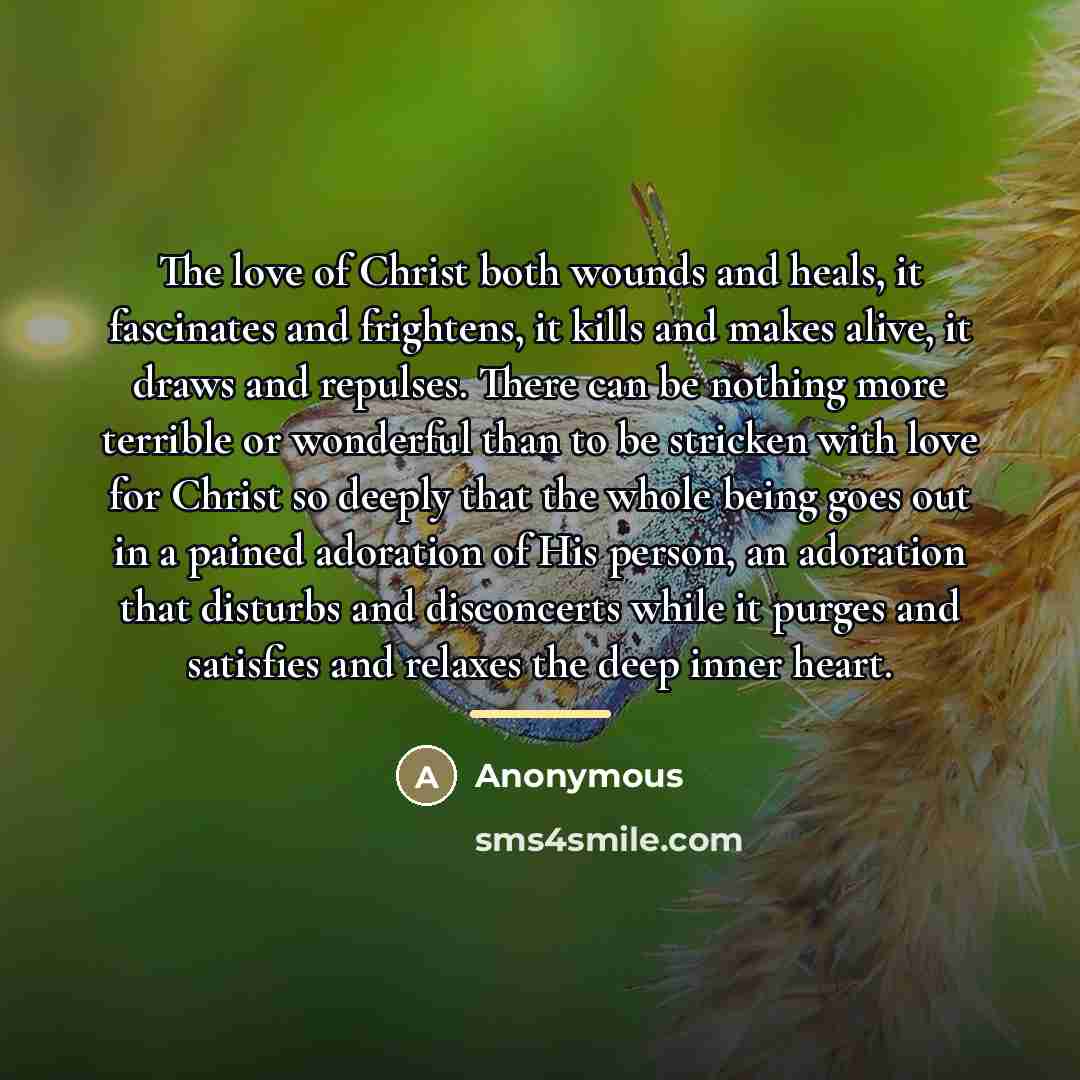 “The love of Christ both wounds and heals, it fascinates…” quote by Anonymous
