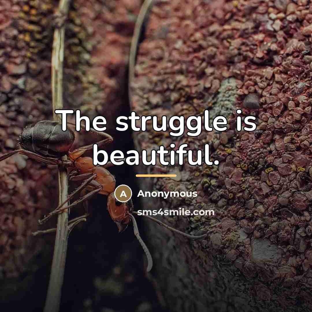 “The struggle is beautiful.…” quote by Anonymous