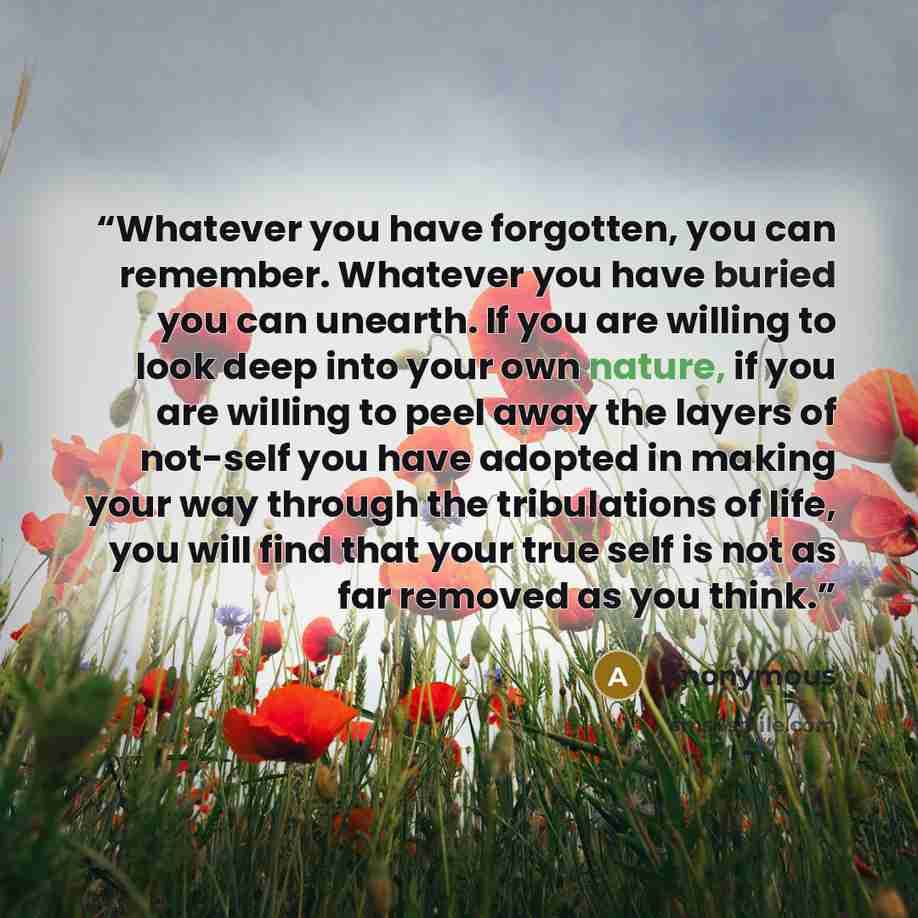 “Whatever you have forgotten, you can remember. Whatever you have buried you can unearth. If you are willing to look deep into your own nature, if you are willing to peel away the layers of not-self you have adopted in making your way through the tribulations of life, you will find that your true…” quote by Anonymous