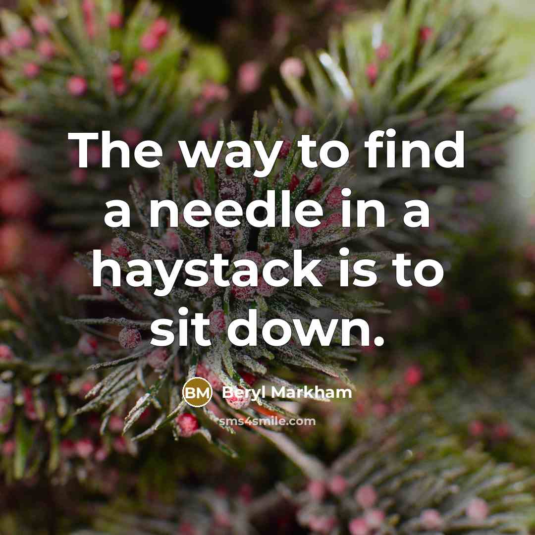 “The way to find a needle in a haystack is to sit down.” quote by Beryl Markham