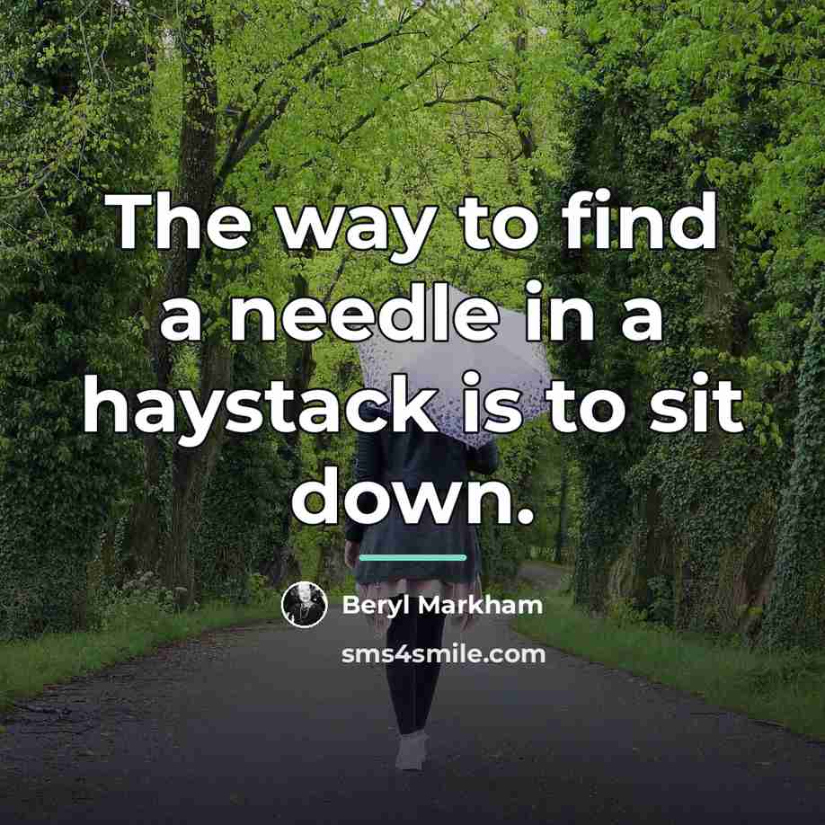“The way to find a needle in a haystack is…” quote by Beryl Markham