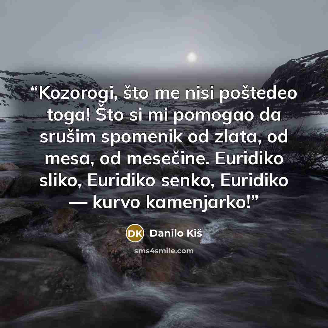 “Kozorogi, što me nisi poštedeo toga! Što si mi pomogao da srušim spomenik od zlata, od mesa, od mesečine. Euridiko sliko, Euridiko senko, Euridiko — kurvo kamenjarko!” quote by Danilo Kiš