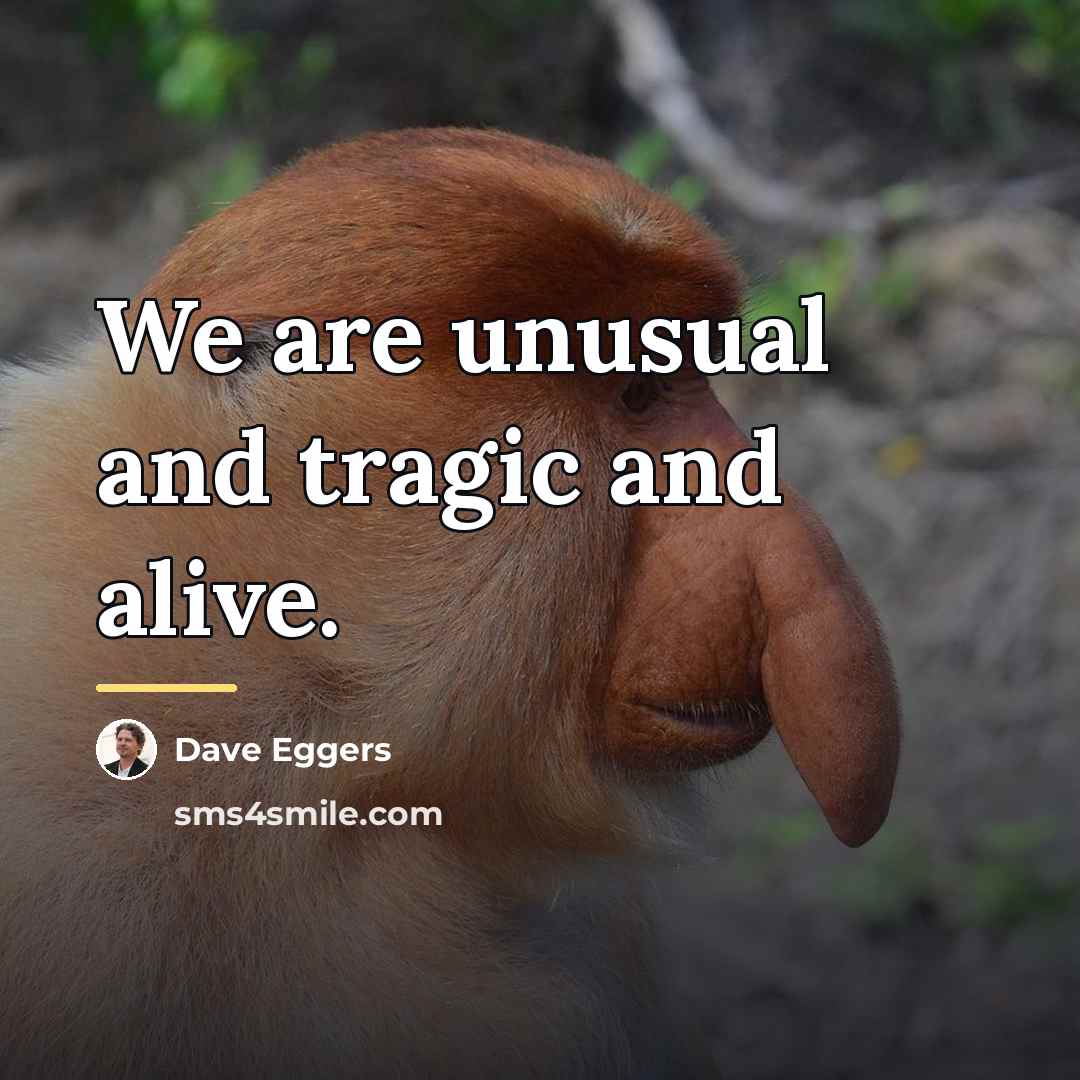 “We are unusual and tragic and alive.…” quote by Dave Eggers