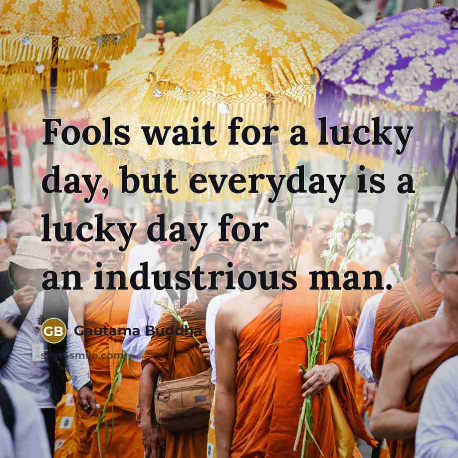 “Fools wait for a lucky day, but everyday is a…” quote by Gautama Buddha