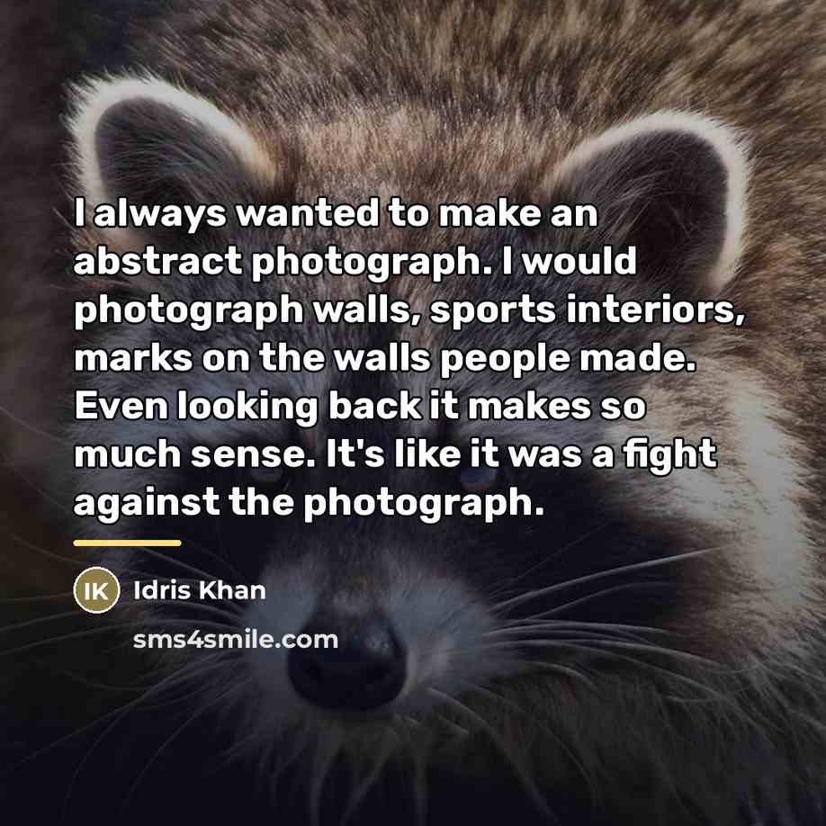 “I always wanted to make an abstract photograph. I would…” quote by Idris Khan