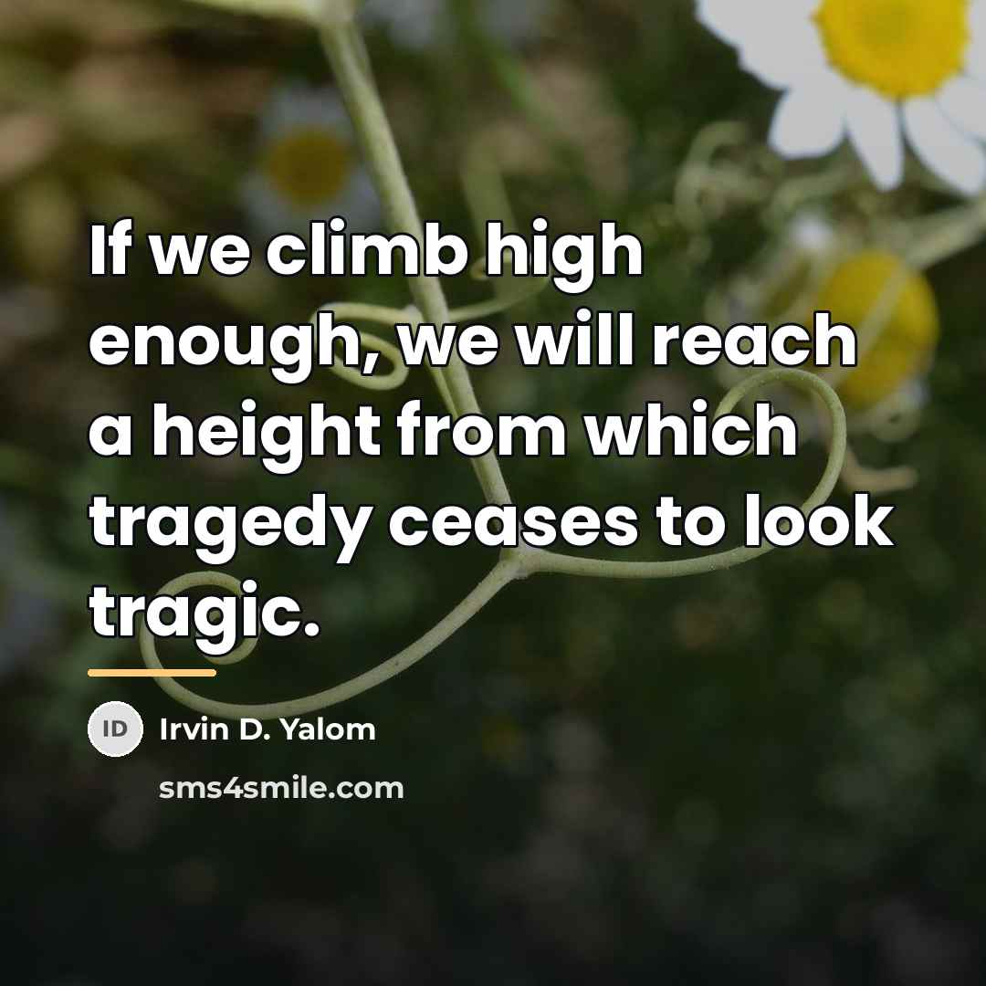 “If we climb high enough, we will reach a height…” quote by Irvin D. Yalom