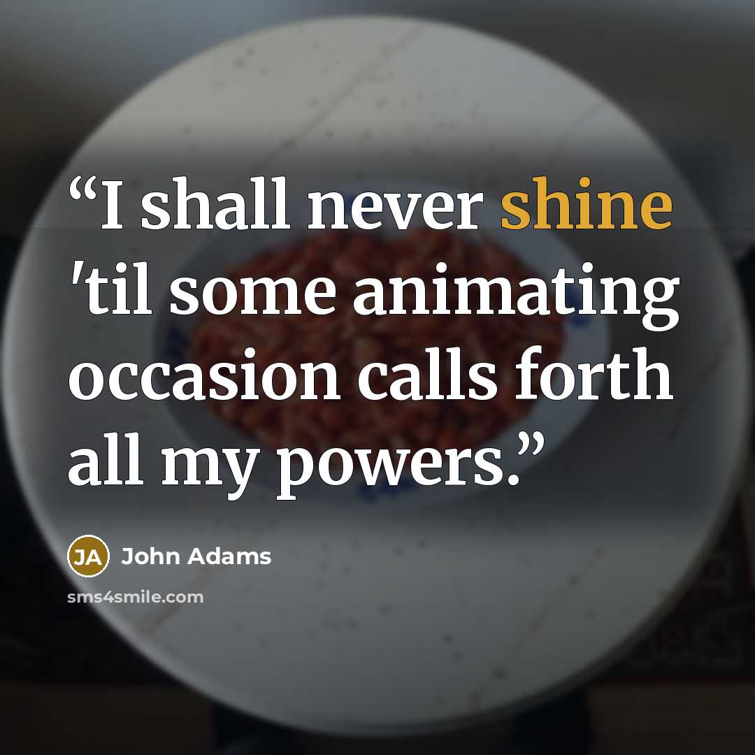 “I shall never shine 'til some animating occasion calls forth all my powers.” quote by John Adams