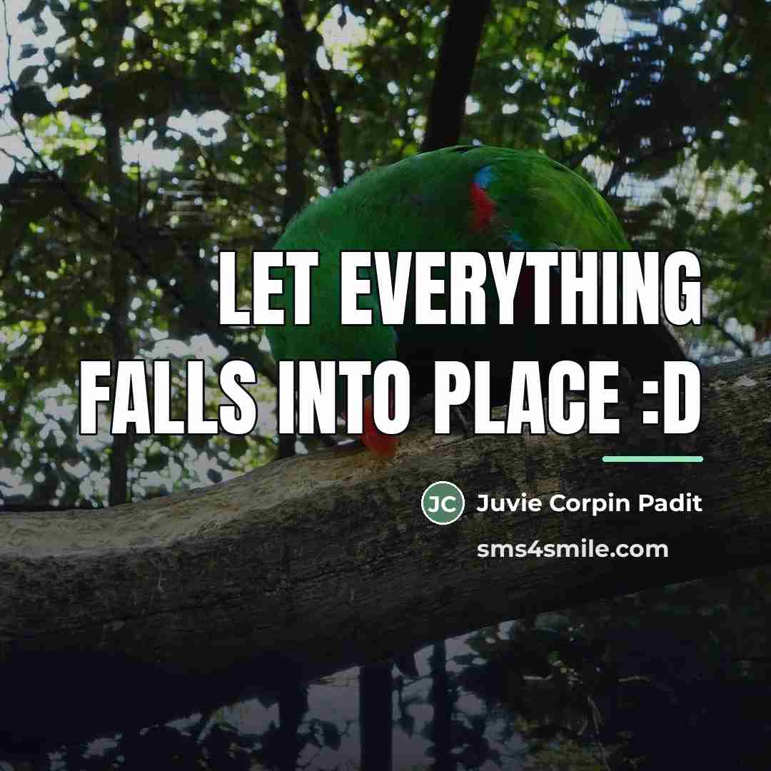 “Let Everything Falls Into Place :D…” quote by Juvie Corpin Padit