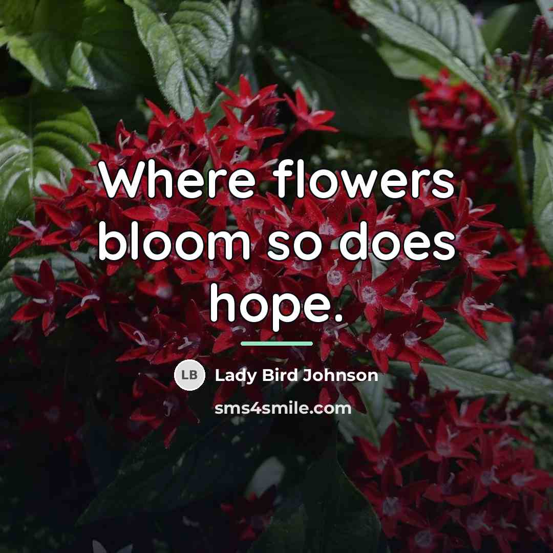 “Where flowers bloom so does hope.…” quote by Lady Bird Johnson