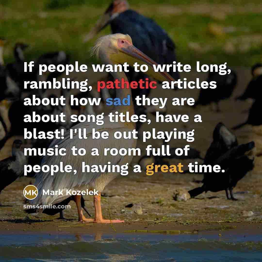 “If people want to write long, rambling, pathetic articles about…” quote by Mark Kozelek