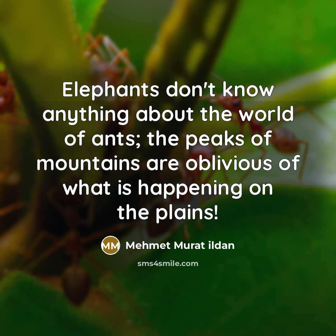 “Elephants don't know anything about the world of ants; the…” quote by Mehmet Murat Ildan